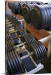 Weights on rack in gym