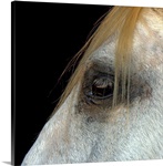 White Horse.