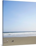 Woman walking her dog on the beach