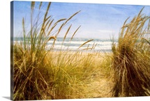 Dune Grass III