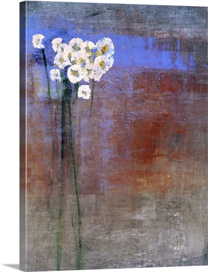 Marguerites 1