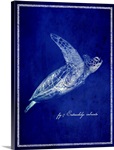 Marine Collection II - Sea Turtle