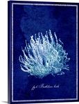 Marine Collection III - Coral