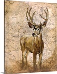 Native Spirit 1
