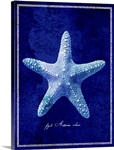 Starfish