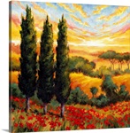 Tuscany in Bloom IV