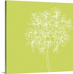 Blossom Pop Citron