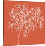 Blossom Pop Tangerine