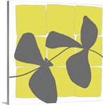 Lemon Pop Three