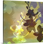 Orchid Abstraction