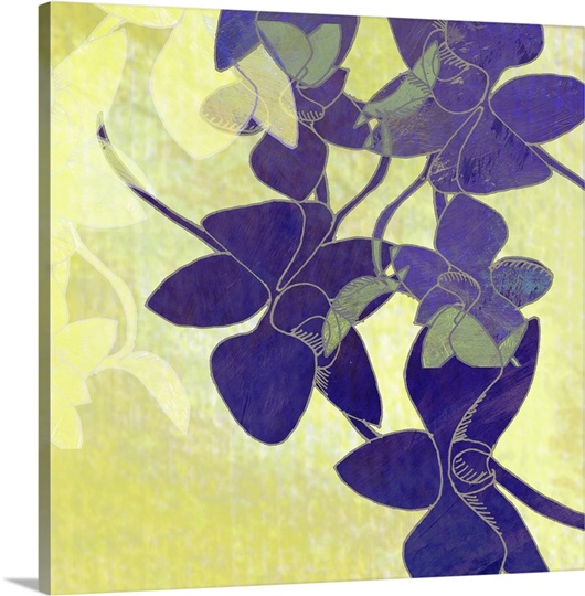 Orchid Shadows