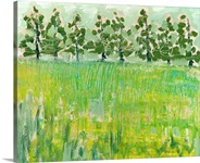Across the Meadow