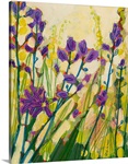 Camas in Bloom