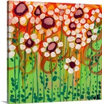 Growing Daisies