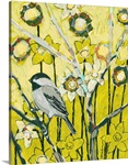 Spring Chickadee