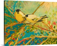 Two goldfinch found