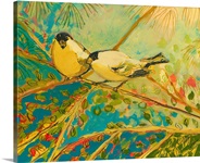 Two Goldfinch Found