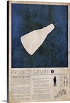 Project Gemini (info)