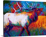 Autumn's Chorus Elk