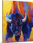 Back Off Bison