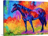 Bay Mare II