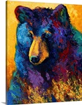 Bear Pause