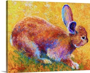 Cottontail I