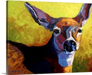Doe III