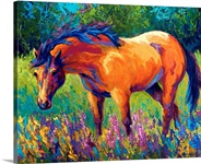 Dunn Mare