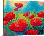 Field of Red Poppies