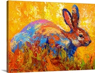 Forest Rabbit II