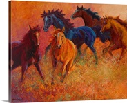 Free Range Horses