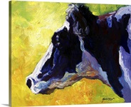 Holstein