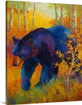 Into Spring Black Bear