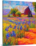 Iris Field
