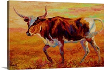 Longhorn Heifer