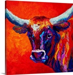 Longhorn Steer