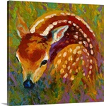 New Fawn