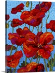 Poppies
