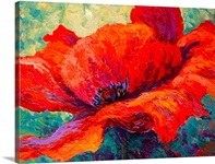 Red Poppy III