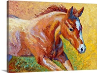 Sorrel Filly