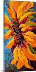 Sunflower Solo II