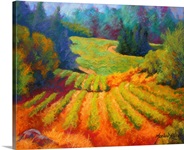 Vineyard