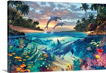 Dolphins Playground