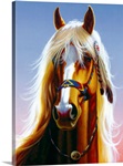 Indian Horse