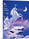Moonlight Unicorn