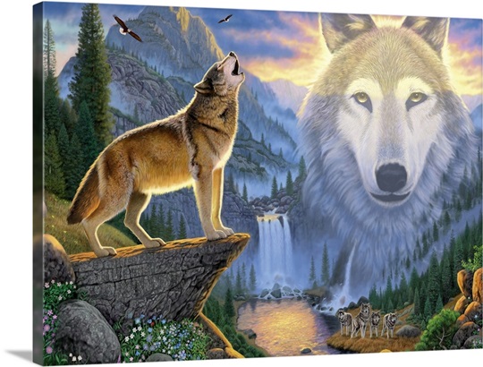 Mountain Wolf 
