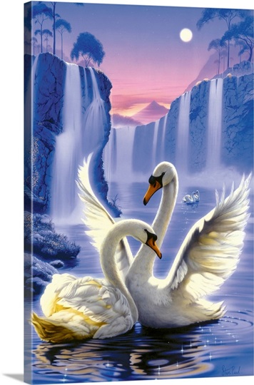 Swan Dreams