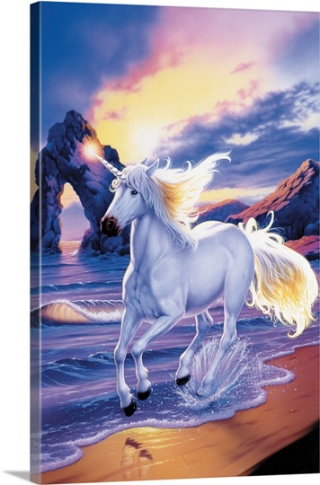 Unicorn Beach