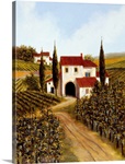 Vineyard in Tuscany